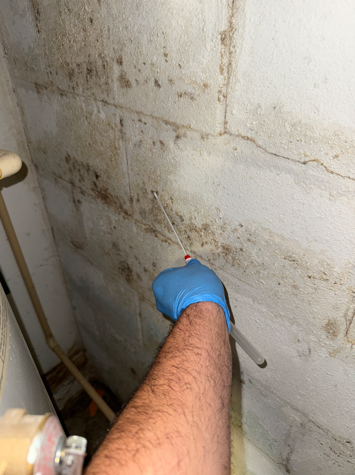Mold swab sample being collected from a wall