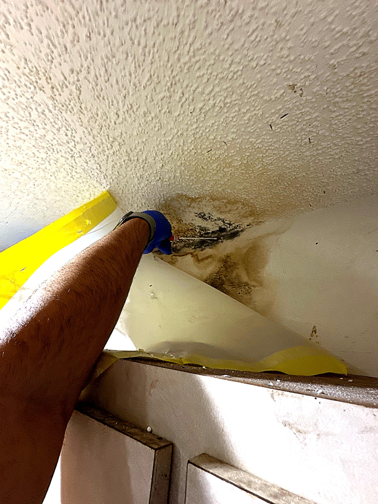 Mold swab sample being collected from ceiling corner